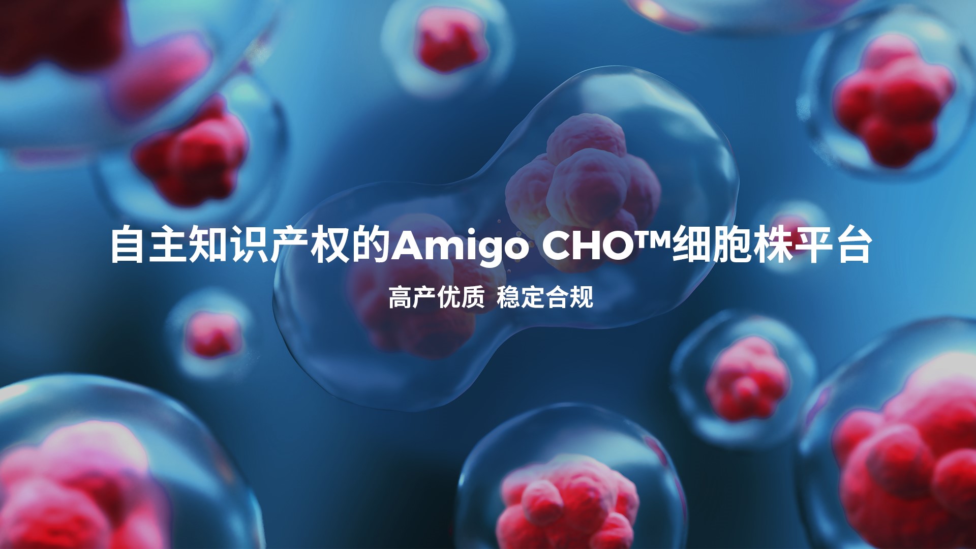 首页| 918博天堂集团中国官方网站